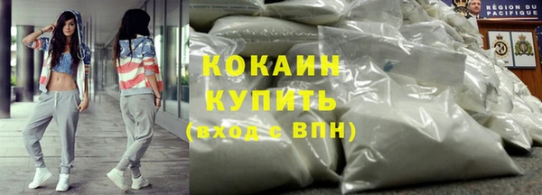 PSILOCYBIN Куртамыш