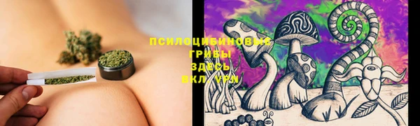 прущий лед Курчалой