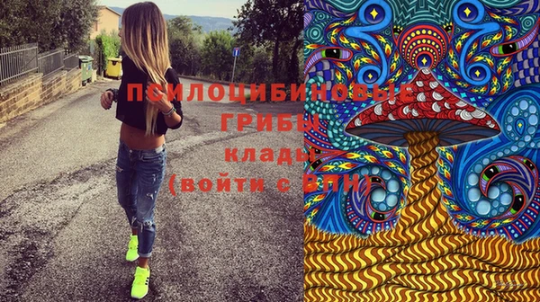 прущая мука Михайлов