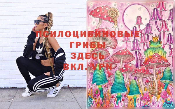 прущий лед Курчалой