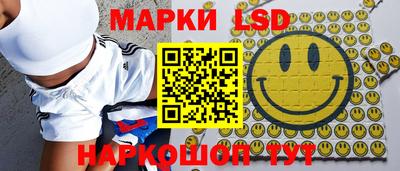 гидропоника Кингисепп