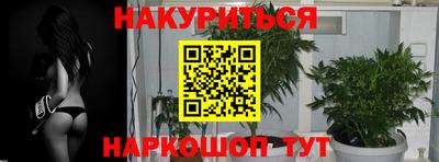 гидропоника Кингисепп