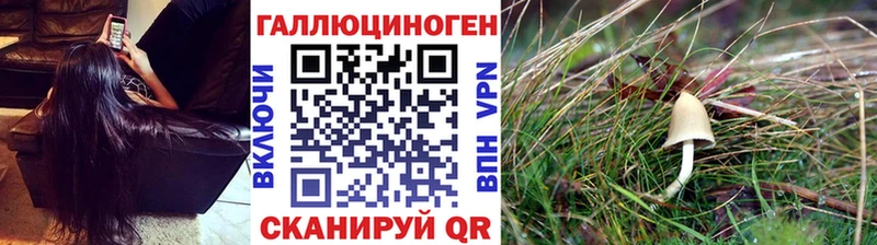 mega как зайти  где купить наркоту  Наро-Фоминск  Галлюциногенные грибы MAGIC MUSHROOMS 