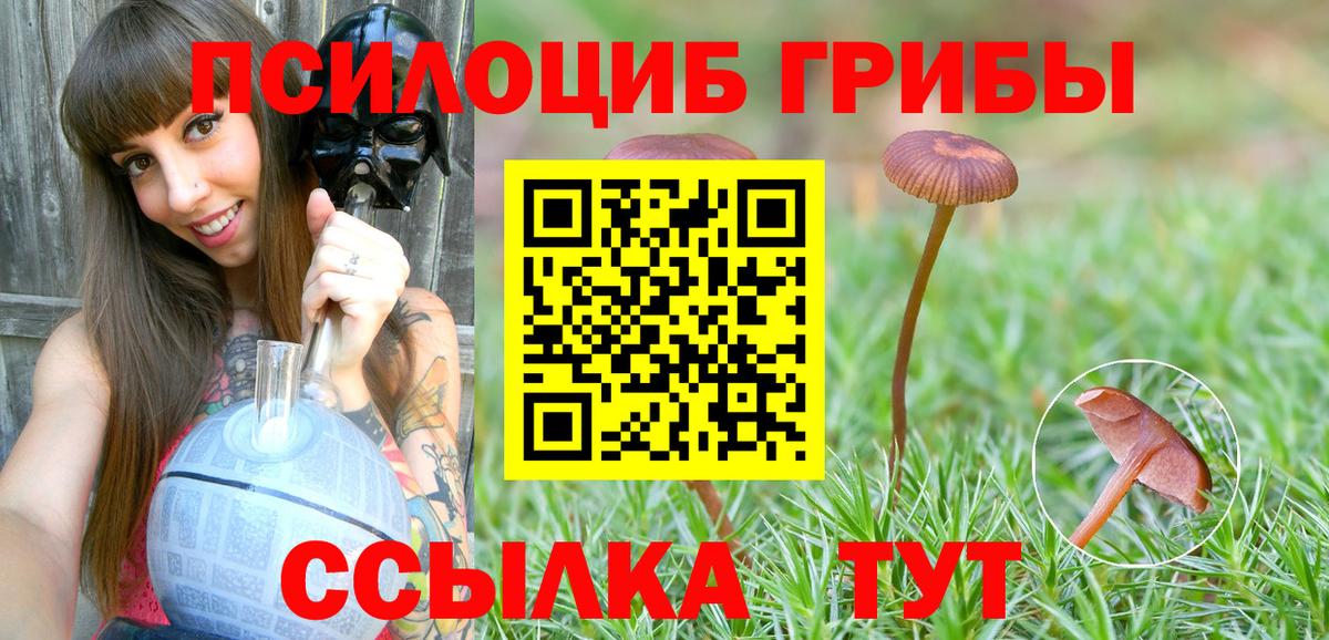 дарнет шоп  Псилоцибиновые грибы Magic Shrooms  Наро-Фоминск  Галлюциногенные грибы Psilocybe 