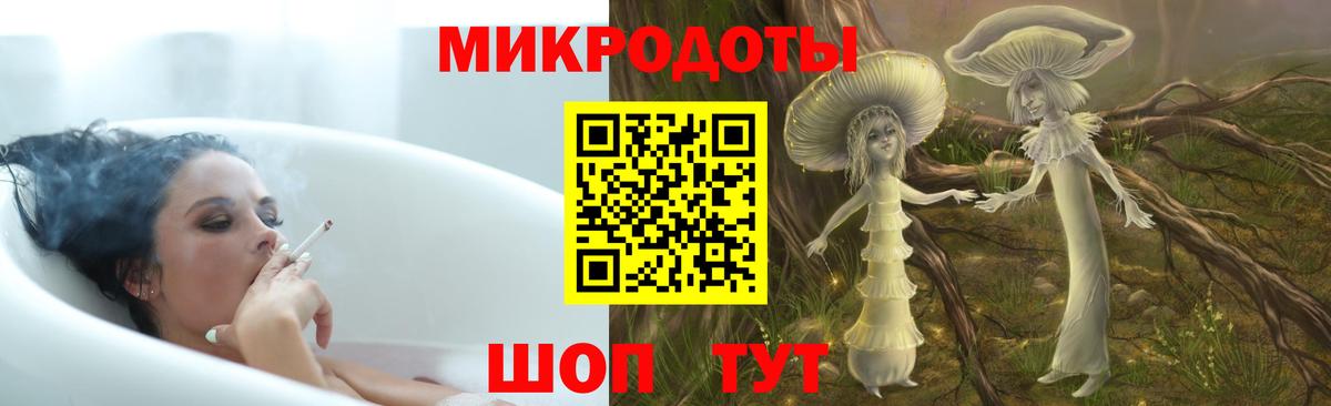 Псилоцибиновые грибы Psilocybe Наро-Фоминск