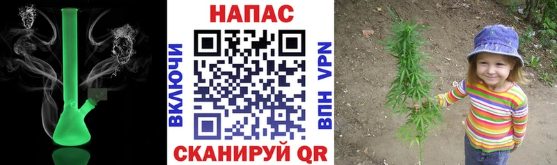 как найти закладки  Наро-Фоминск  даркнет как зайти  МАРИХУАНА семена 